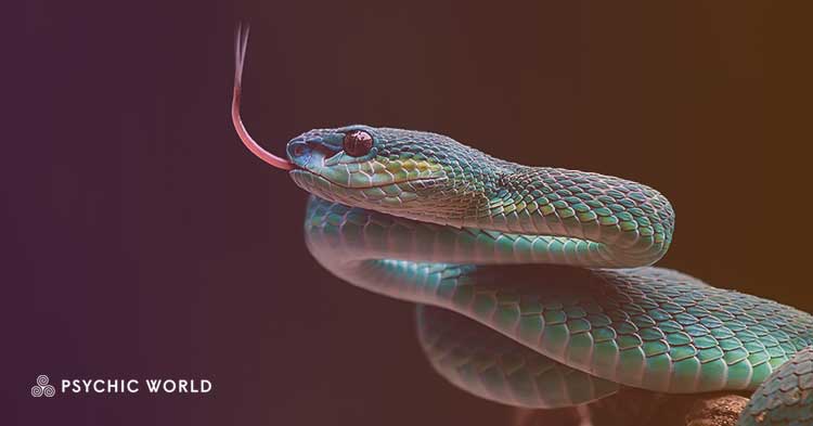 The Spiritual Meaning of Seeing a Snake: Symbolism Revealed | PsychicWorld